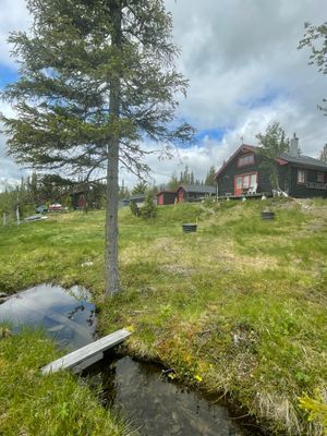 Stuga uthyres i Marsliden, Saxnäs, Marsfjäll - Bild 23