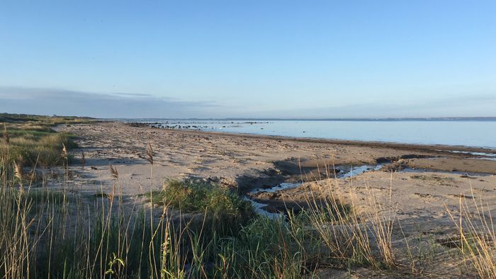Stora Hults strand