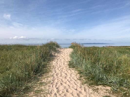 Gångväg över sanddynorna ner till stranden