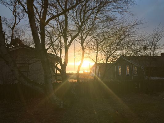 Solnedgång i mars