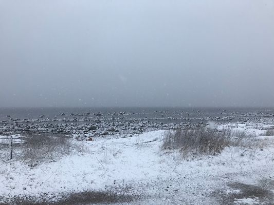 Stuga 60m från sandstranden i St Hult, Vejbystrand - Bild 27