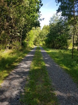 Charmig sommaridyll - Bild 23