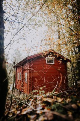 Charmigt rött svenskt hus i skogen - Bild 80