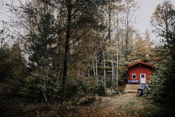 Charmigt rött svenskt hus i skogen - Bild 83