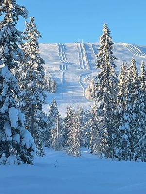 Hyr denna stuga i Fjätervålen på 100 m². 6 sängplatser. 6 000 - 12 000 kr per vecka. Se bilder och tillgänglighet här.