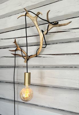 Stor fastighet vid Korpilombolosjön - Bild 21