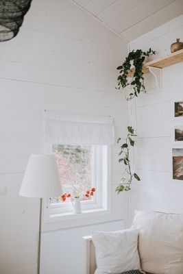 Charmigt rött svenskt hus i skogen - Bild 78