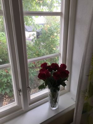 Charmig stuga i Simrishamns gamla stad på Österlen - Bild 26