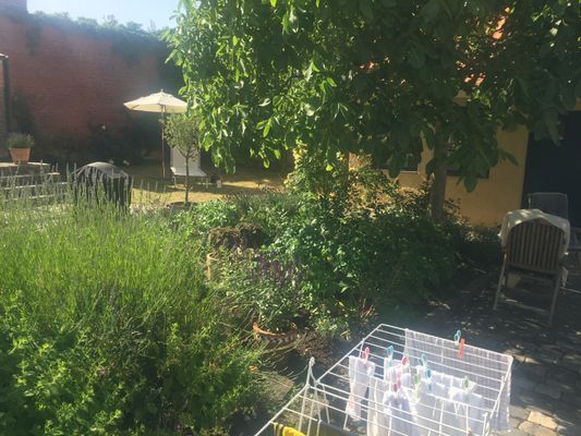 Charmig stuga i Simrishamns gamla stad på Österlen - Bild 31