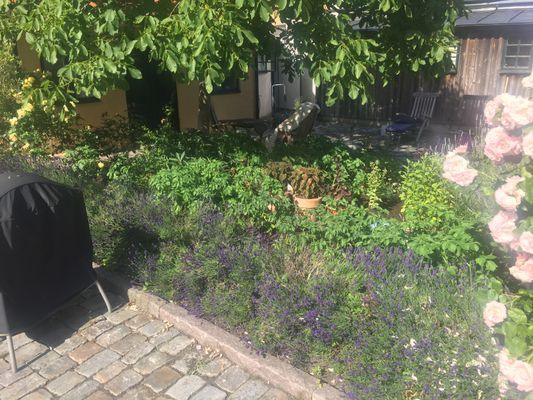 Charmig stuga i Simrishamns gamla stad på Österlen - Bild 35