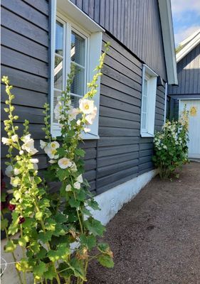 Bild 3 på Havsnära hus "Lilla Grå"  Skälderviken, Ängelholm.