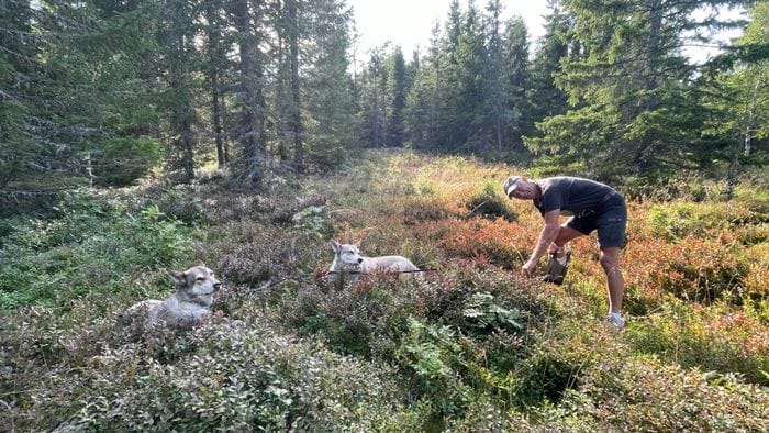 Charmigt Semesterhus med bastu och trädgård - Bild 22