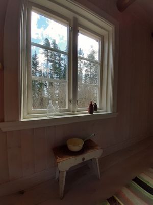 Äventyrsboende - Nyrenoverat torp mitt i skogen - Bild 10
