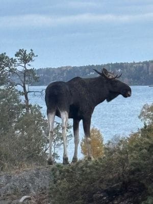 Villa Vågskvalp – Paradiset i Stockholm skärgård - Bild 35