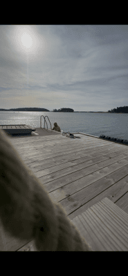 Mysig skärgårdstuga - Bild 19