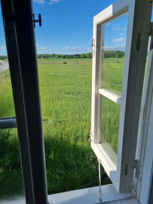Utsikten från sovrumsfönstret.
