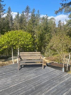 Sommarhus vid Ålands hav - Bild 13
