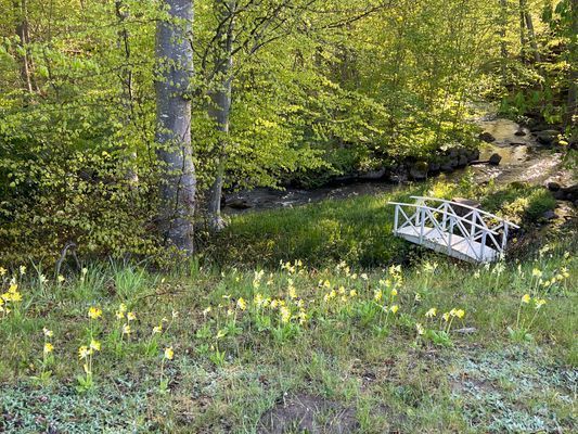 Stuga vid naturreservat - Bild 7
