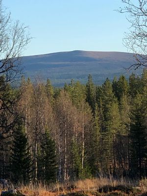 Utsikt från stugan