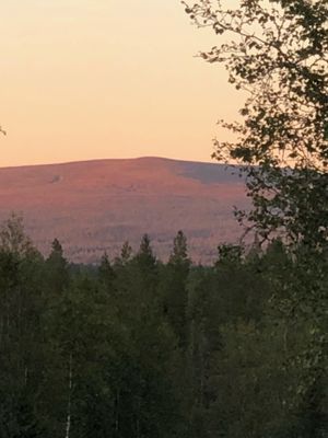 Utsikt från stugan