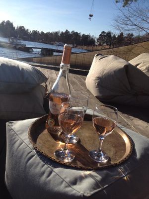 SJÖTOMT I SÖDERLÄGE, 15 min. från Stockholm City - Bild 45