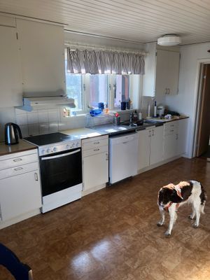 Rymligt sommarhus, fri havsutsikt och egen brygga - Bild 22