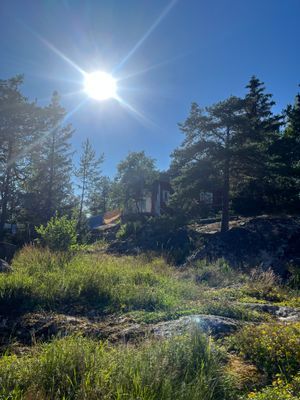 Rymligt sommarhus, fri havsutsikt och egen brygga - Bild 15