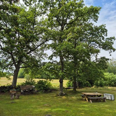 Charmigt torp på Blidö - Bild 12