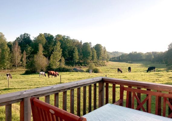 Bild 4 på Bo på idyllisk bondgård | Nära sjö med fri båt