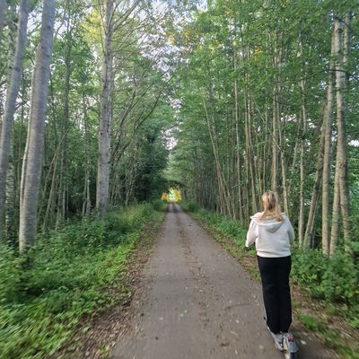 Cykel och vandringsvägar; det här är Sverigeleden mellan Löttorp och Ölands golfklubb.