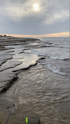 Stuga nära hav och skog - Bild 12