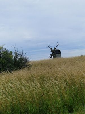 Öland är känt för sina väderkvarnar. Denna hittar du på väg mot Kackelstugan.