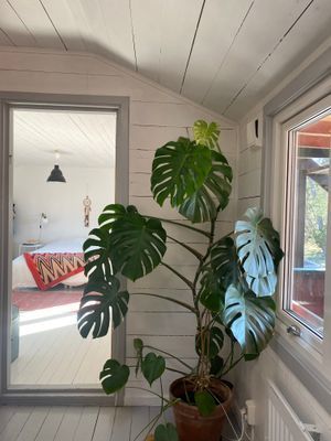 Hus med havsutsikt nära Själsö hamn utanför Visby - Bild 7