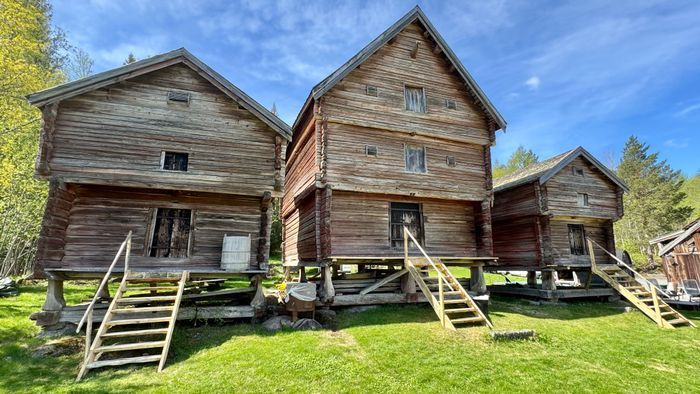 Bild 3 på Helt träslott med 24 bäddar i Järvsö