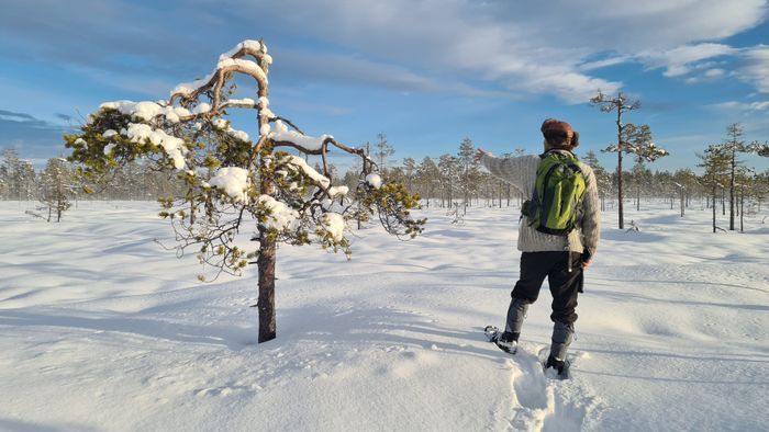 Familjevänligt hus på landsbygden - Bild 37