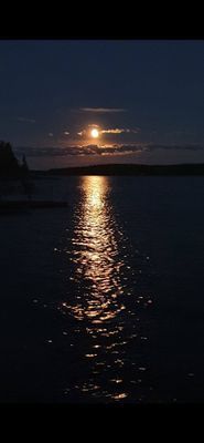 Sjöhuset - båtar, strand, bastu, brygga och grill! - Bild 15