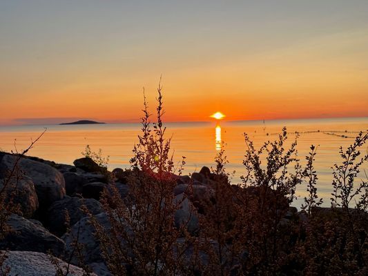 Solnedgångarna 100 m från husen
