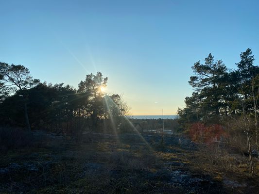 Hus med havsutsikt nära Själsö hamn utanför Visby - Bild 34