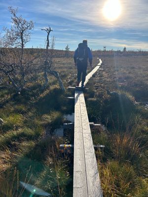 Modernt fjällhus nära backar o längdspår - Bild 35