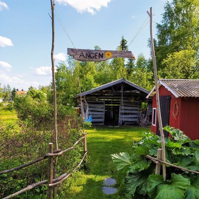 Familjevänligt hus med solig uteplats nära Ljusnan - Bild 24