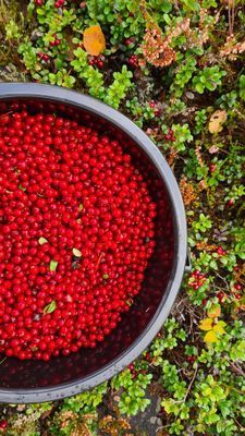 Familjevänligt hus på landsbygden - Bild 26