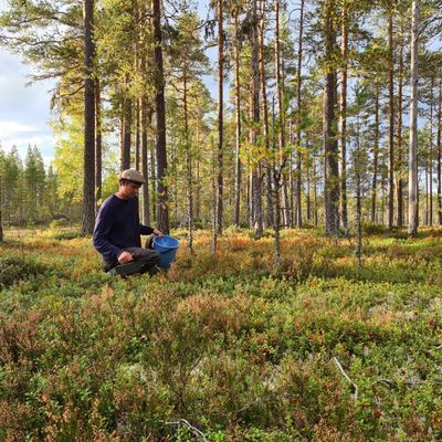 Familjevänligt hus på landsbygden - Bild 28
