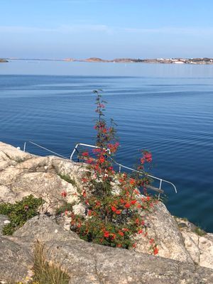 Östersidan, Fiskebäckskil, Bohuslän - Bild 18