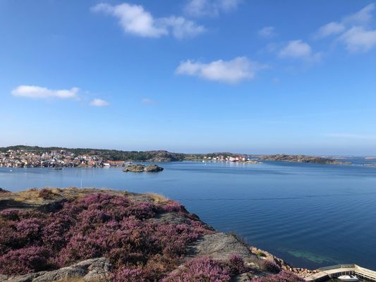 Östersidan, Fiskebäckskil, Bohuslän - Bild 19