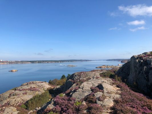 Östersidan, Fiskebäckskil, Bohuslän - Bild 24