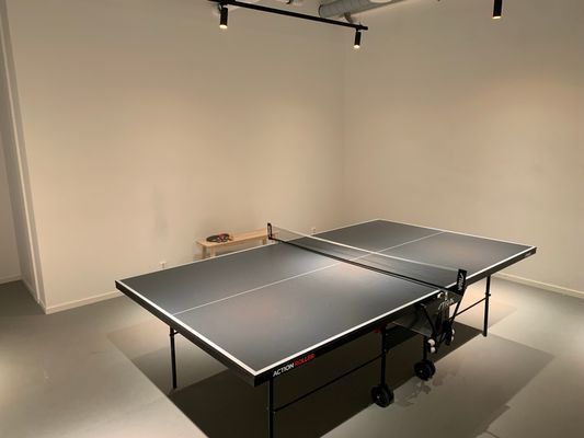 Åre Björnen Toppklass 10 bäddar - Bild 22