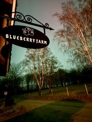 Gårdshus på hästgård i idyllisk miljö - Bild 23