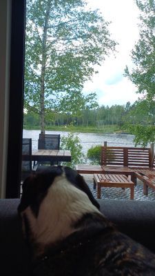 Sjöhuset - båtar, strand, bastu, brygga och grill! - Bild 29
