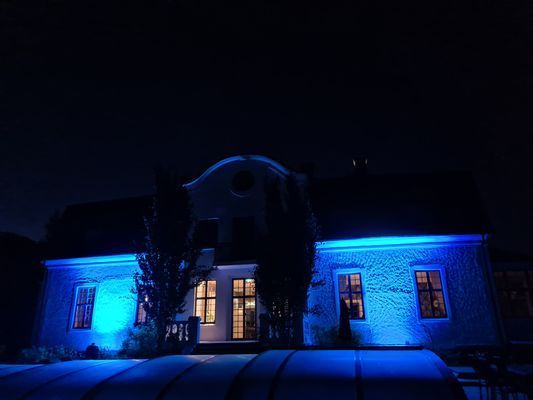 Fantastisk Disponentvilla strax utanför Göteborg - Bild 16