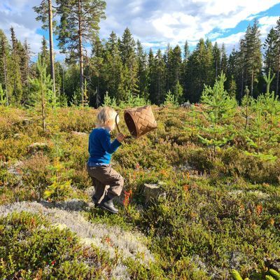 Familjevänligt hus på landsbygden - Bild 29